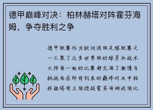 德甲巅峰对决：柏林赫塔对阵霍芬海姆，争夺胜利之争